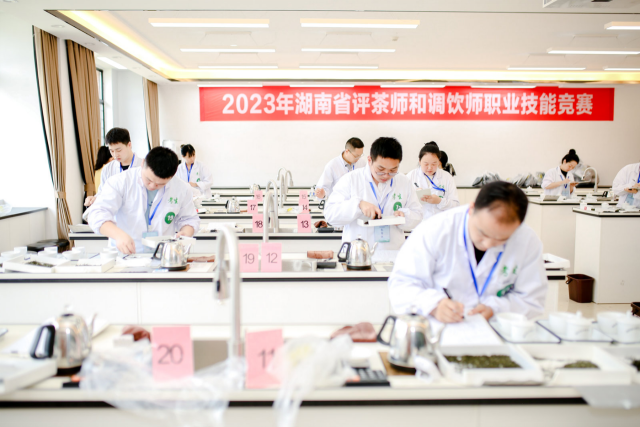 关于湖南评茶事、调饮师新星诞生！的新闻(5)