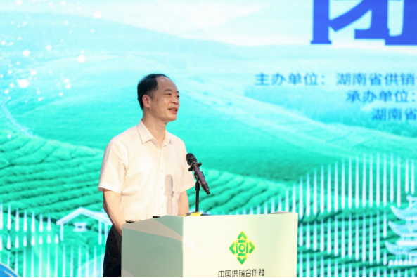 关于湖南评茶事、调饮师新星诞生！的新闻(11)