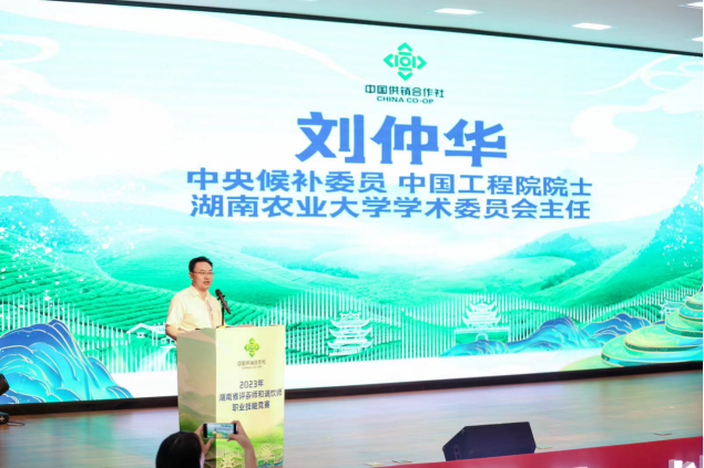 关于湖南评茶事、调饮师新星诞生！的新闻(10)