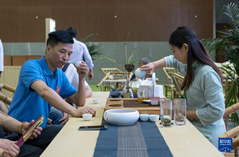 有关于四川乐山：茶飘香 产业旺的最新消息