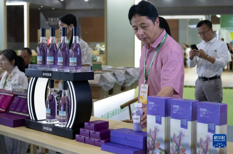 有关于四川乐山：茶飘香 产业旺的最新消息(4)