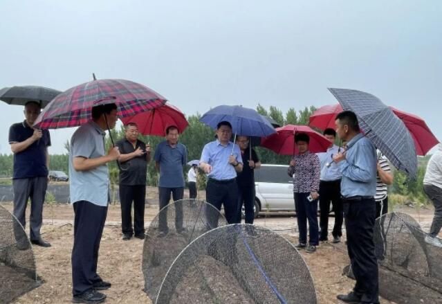 有关于诸城市政协主席王爱民调研茶产业发展情况的信息