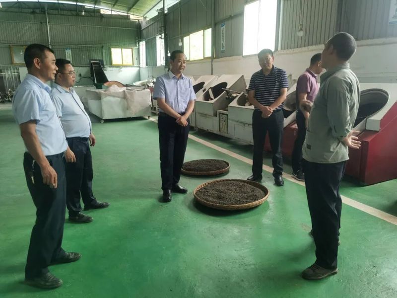 关于邹家文调研茶产业发展工作的相关内容(2)