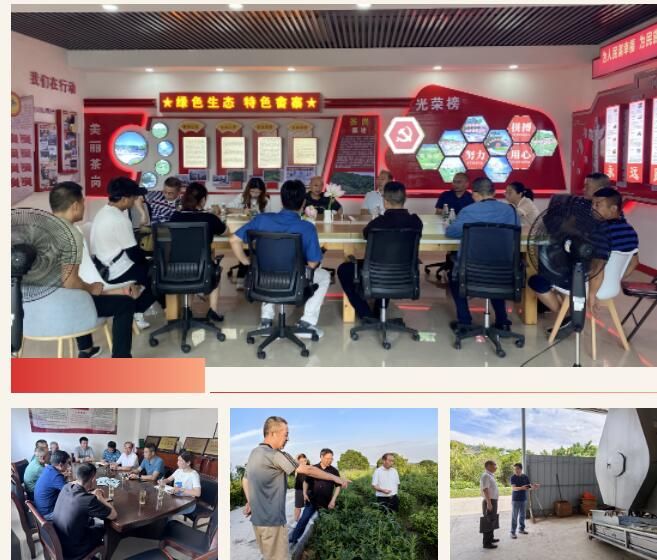 有关于深入基层：开展茶产业发展专题调研的相关内容(2)