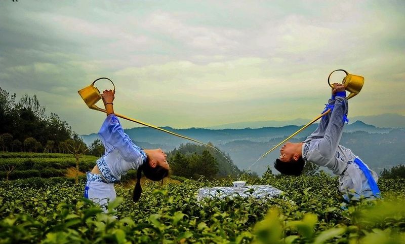 关于多彩茶乡，四川旺苍：游“中国黄茶之乡”享蜀道茶旅的新闻(5)