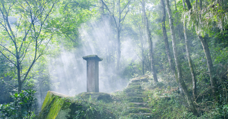 关于多彩茶乡，四川旺苍：游“中国黄茶之乡”享蜀道茶旅的新闻(3)