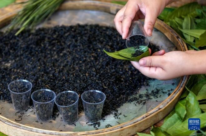 关于祁门县平里镇 红茶之乡品“粽茶”的消息(4)