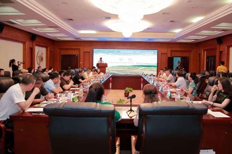 有关于2023郎溪黄茶（内蒙古）产销对接会举行，他们成为郎溪黄茶推介官的新闻(1)