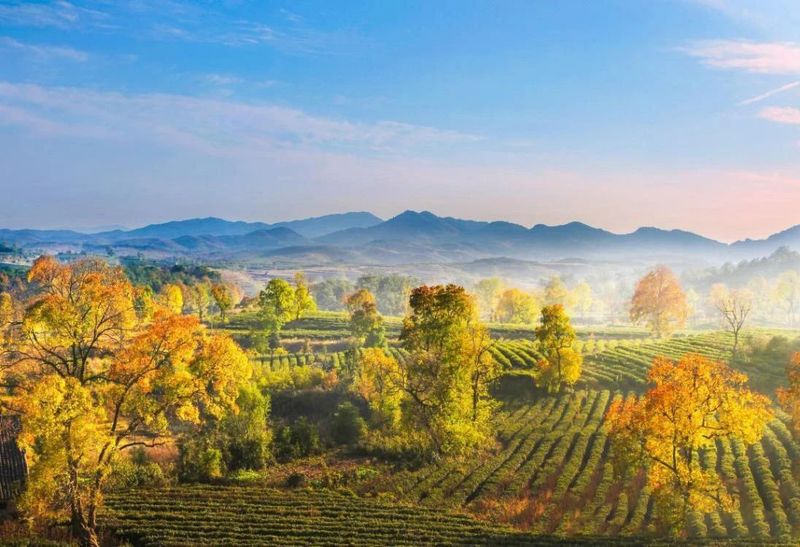 关于河南新县：山水红城茶飘香的资讯(2)