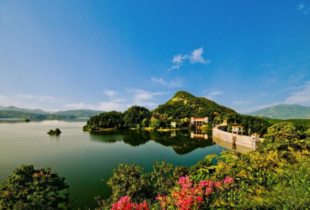 关于河南新县：山水红城茶飘香的资讯(3)