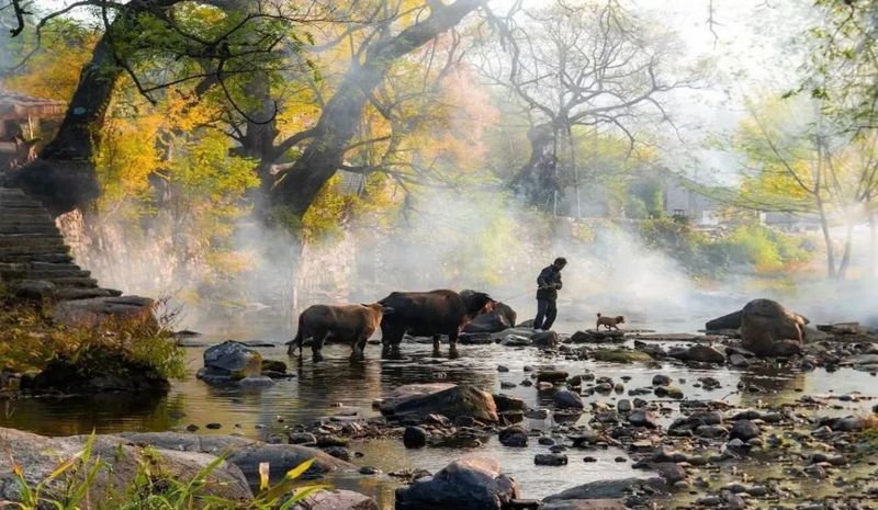 关于河南新县：山水红城茶飘香的资讯(9)
