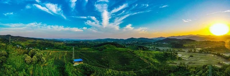 关于河南新县：山水红城茶飘香的资讯(15)