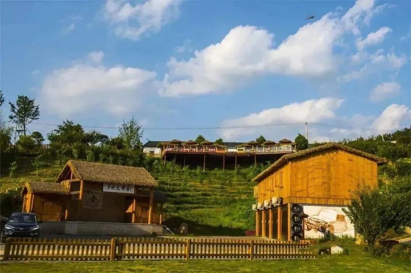 关于河南新县：山水红城茶飘香的资讯(11)