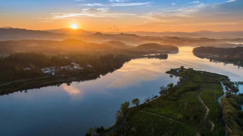 关于河南新县：山水红城茶飘香的资讯(1)