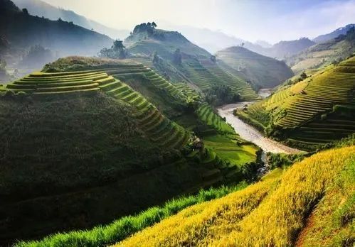 关于鹤峰：加快建设先行区，有机茶“出海破圈”正当时的新闻(2)