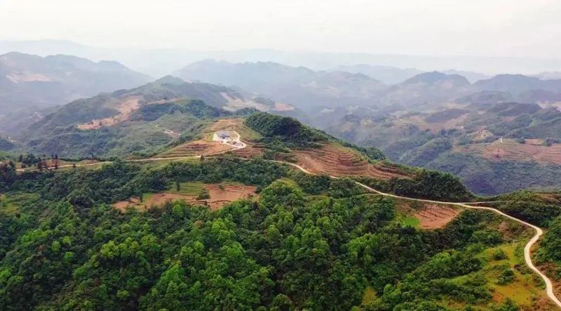 关于1350米！这座古茶园是铜仁NO.1的内容