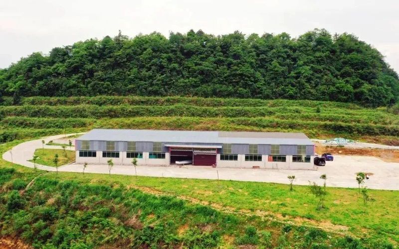 关于1350米！这座古茶园是铜仁NO.1的内容(2)