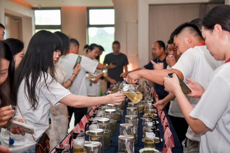 有关于情浓端午 创新前行 癸卯年南湾湖端午茶会暨首届信阳白茶品研会胜利召开的信息(2)