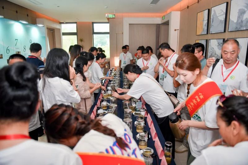 有关于情浓端午 创新前行 癸卯年南湾湖端午茶会暨首届信阳白茶品研会胜利召开的信息(3)