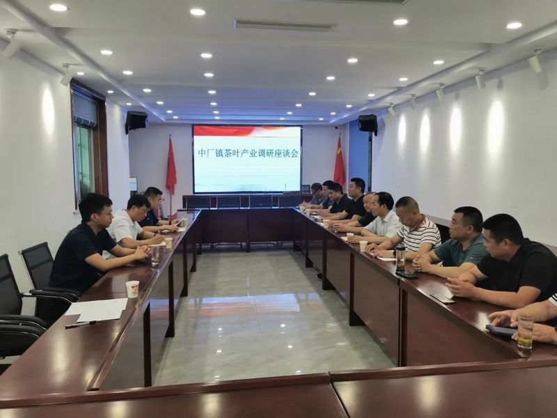 关于中厂镇人大组织开展茶叶产业调研活动的内容(2)