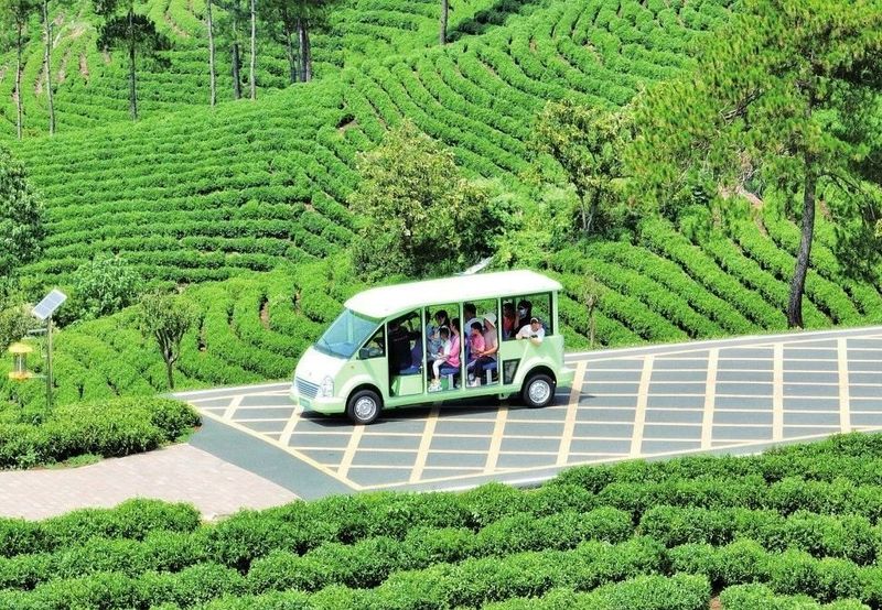 有关于信阳：山水茶都再现荣光的消息(2)