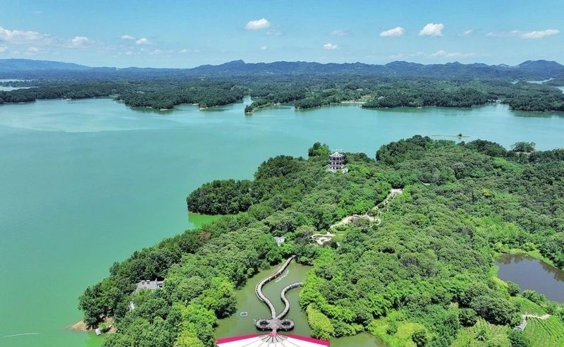 有关于信阳：山水茶都再现荣光的消息(1)