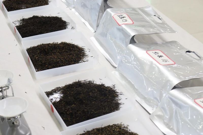 关于3大茶王诞生！这场延续9届的斗茶大赛，助力寿宁茶业升级发展的新闻(5)