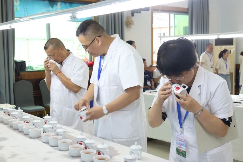 关于3大茶王诞生！这场延续9届的斗茶大赛，助力寿宁茶业升级发展的新闻(1)