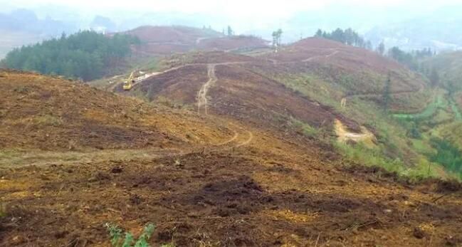 关于贵州织金：治水保土 茶香满园的内容(1)