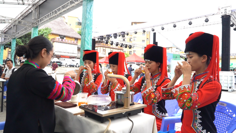 有关于绿春县突出绿色有机发展，统筹推进“三茶”融合发展的相关信息(1)