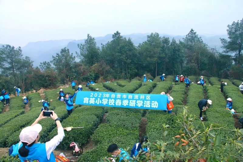 有关于四川荣县：来“中国花茶之乡”游川南饮精品荣县茶的内容(9)