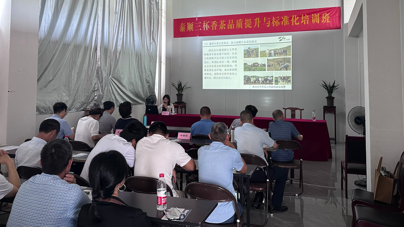 有关于如何让“三杯香”成为富民的“金叶子”？专家来解惑的内容