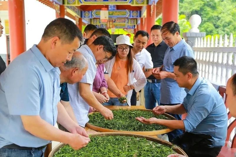 关于汉阴：抢抓新机遇 提技促增收的相关信息(6)