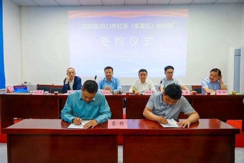 关于汉阴：抢抓新机遇 提技促增收的相关信息(1)