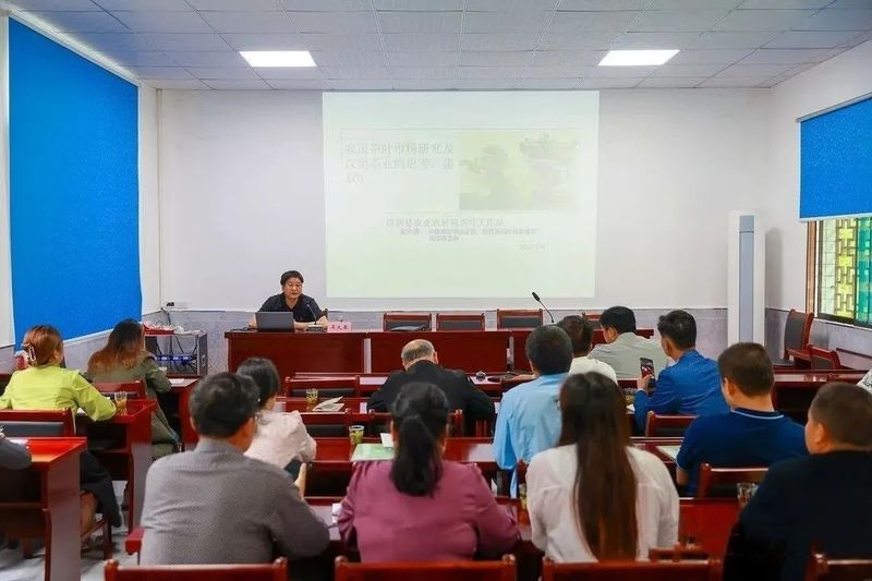 关于汉阴：抢抓新机遇 提技促增收的相关信息(2)