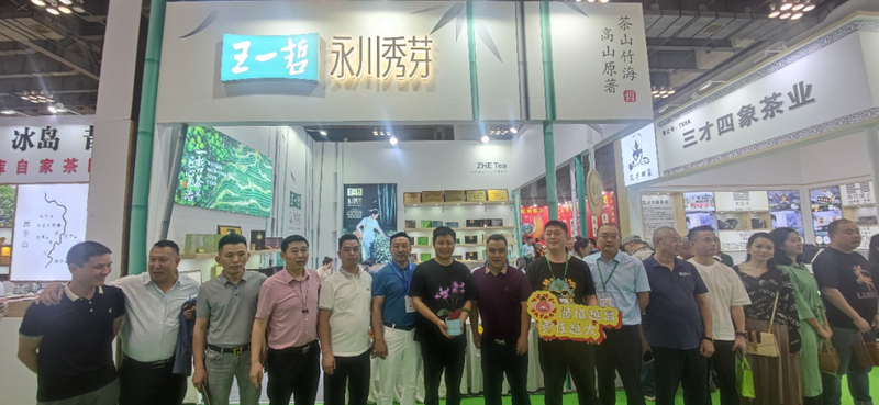 关于直击2023重庆茶博会，重庆市茶产业协会深度参与的新闻(3)