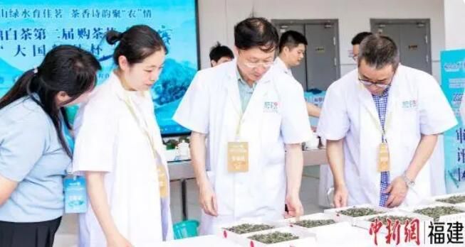 关于茶界专家学者齐聚福建福鼎 助力乡村产业振兴的最新消息(3)