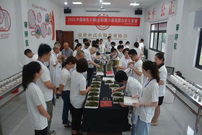 有关于中国白茶特色小镇（点头）第六届福鼎白茶斗茶赛成功举办的新闻(4)