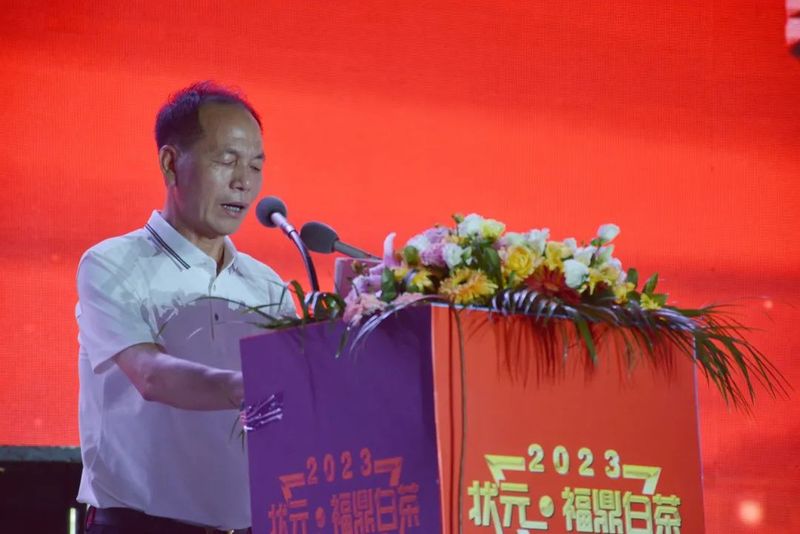 有关于中国白茶特色小镇（点头）第六届福鼎白茶斗茶赛成功举办的新闻(2)