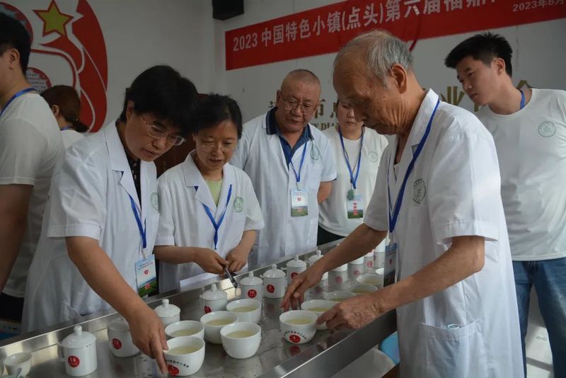 有关于中国白茶特色小镇（点头）第六届福鼎白茶斗茶赛成功举办的新闻(5)