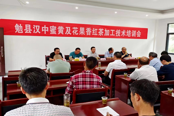 关于勉县举办汉中蜜黄及花果香红茶加工技术培训会的最新消息(1)