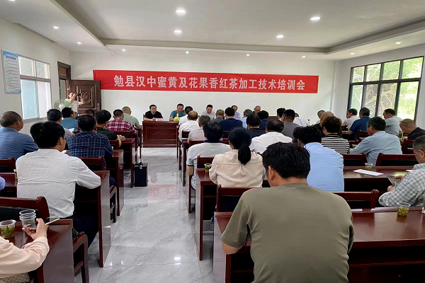 关于勉县举办汉中蜜黄及花果香红茶加工技术培训会的最新消息