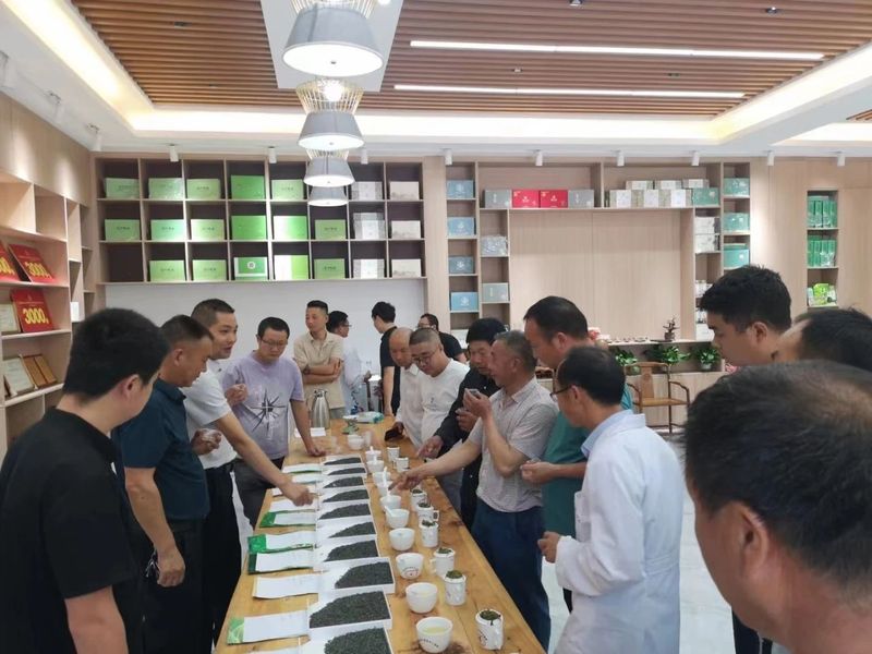 关于勉县举办汉中蜜黄及花果香红茶加工技术培训会的最新消息(3)