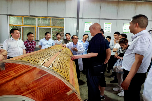 关于勉县举办汉中蜜黄及花果香红茶加工技术培训会的最新消息(2)