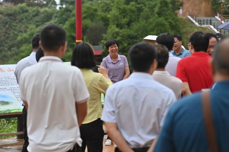 关于六堡镇话六堡茶 广西苍梧茶产业与乡村振兴“双向奔赴”的资讯(3)