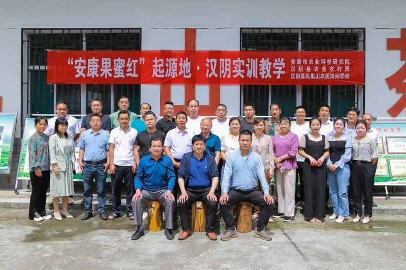 关于安康市农科院携手汉阴打造安康首个安康果蜜红红茶示范基地的信息