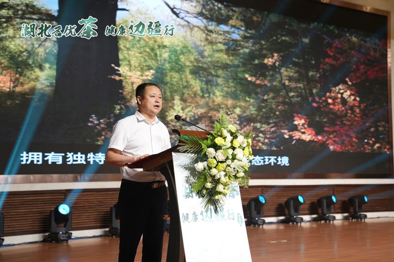 关于湖北名优茶·健康边疆行，英山“三宝”，今日伊犁大展“英”姿的消息(5)