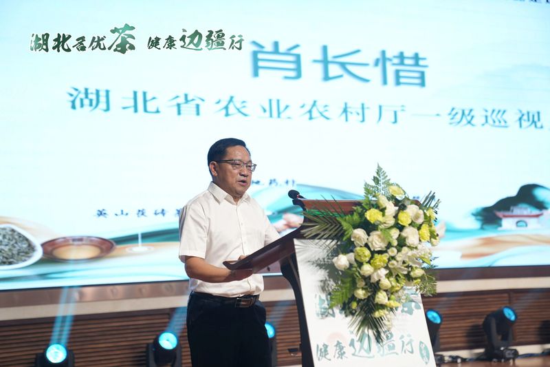 关于湖北名优茶·健康边疆行，英山“三宝”，今日伊犁大展“英”姿的消息(10)