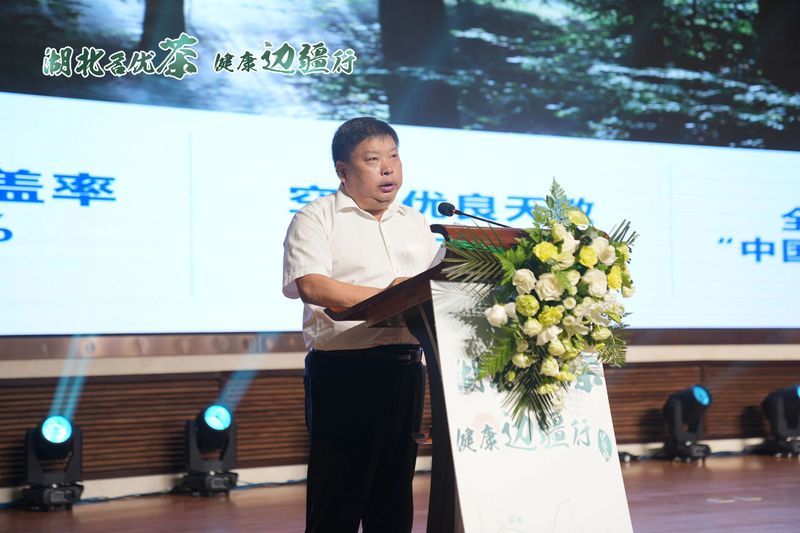 关于湖北名优茶·健康边疆行，英山“三宝”，今日伊犁大展“英”姿的消息(4)