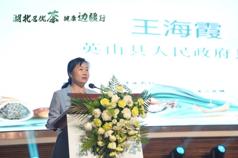 关于湖北名优茶·健康边疆行，英山“三宝”，今日伊犁大展“英”姿的消息(3)